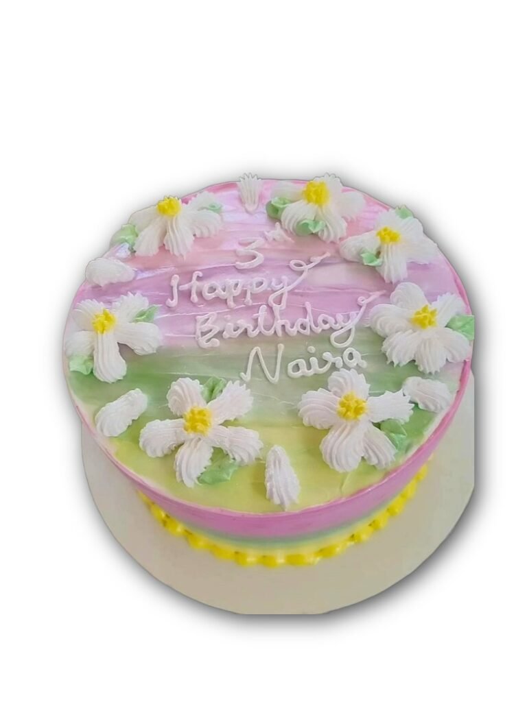 BLUEBERRY CHEESE CAKE